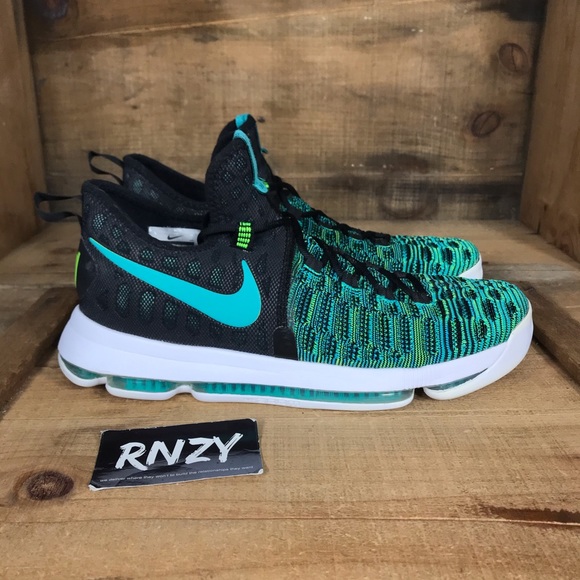 kd 9 birds of paradise